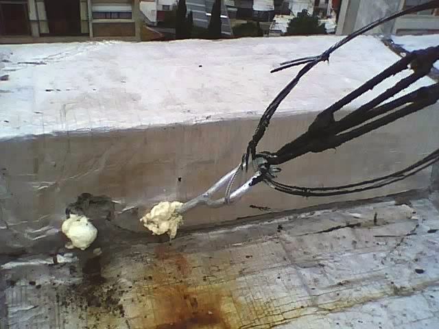 INTRCU 2010_0175.JPG