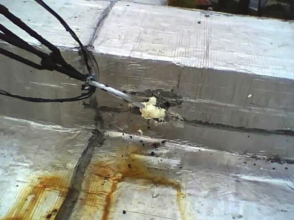 INTRCU 2010_0176.JPG