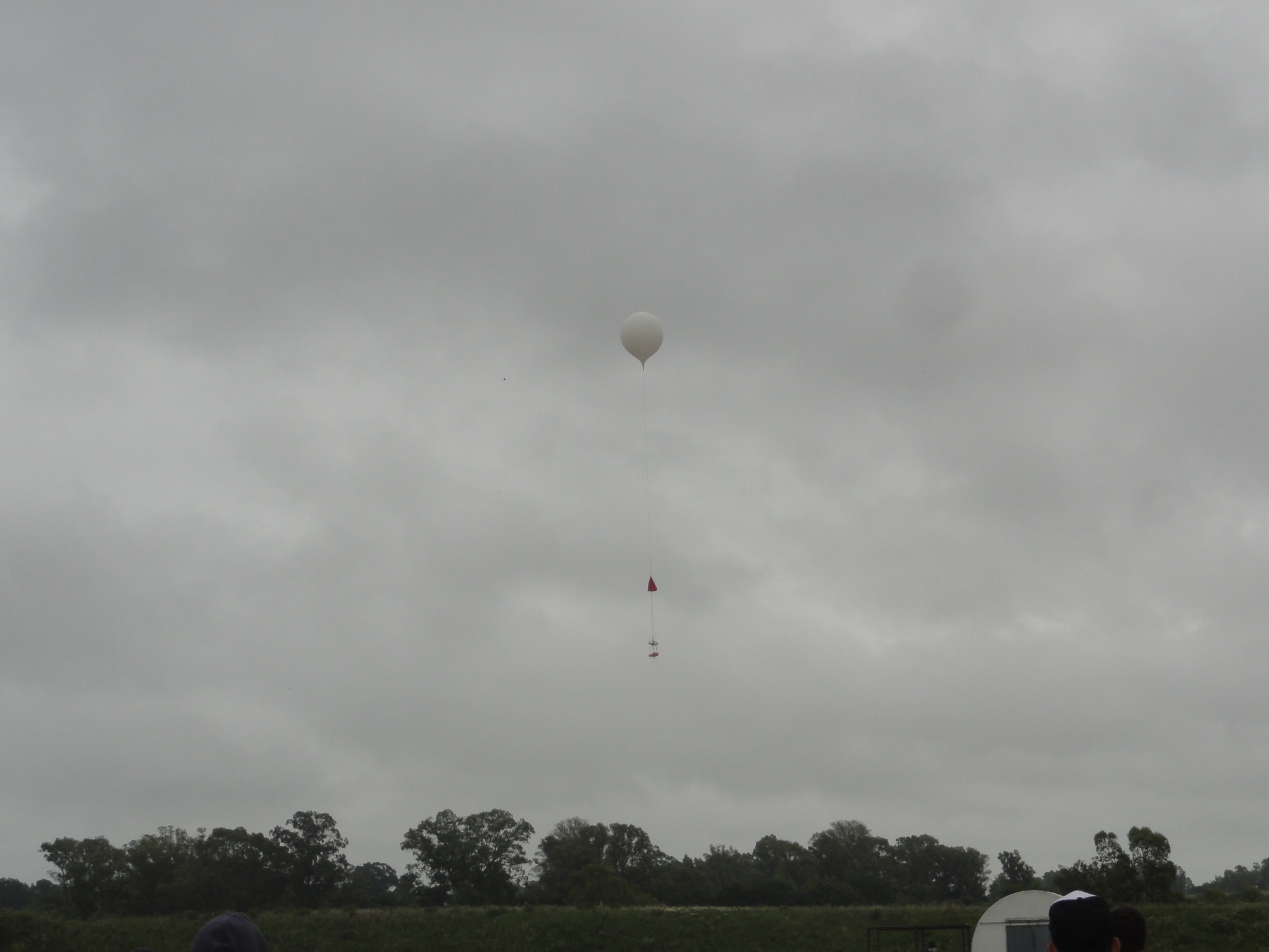 Gavilan-1 2016_1035.JPG