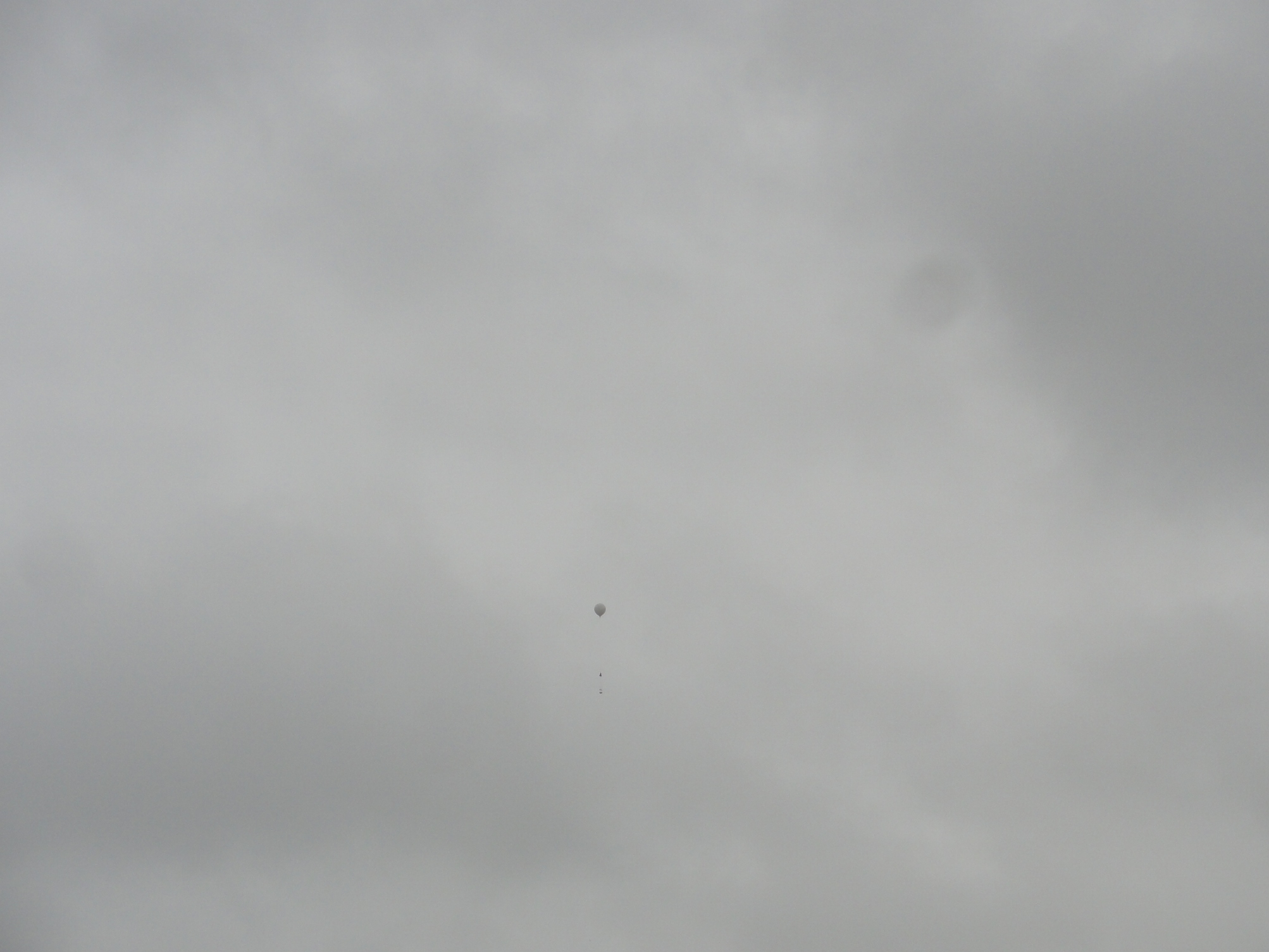 Gavilan-1 2016_1038.JPG