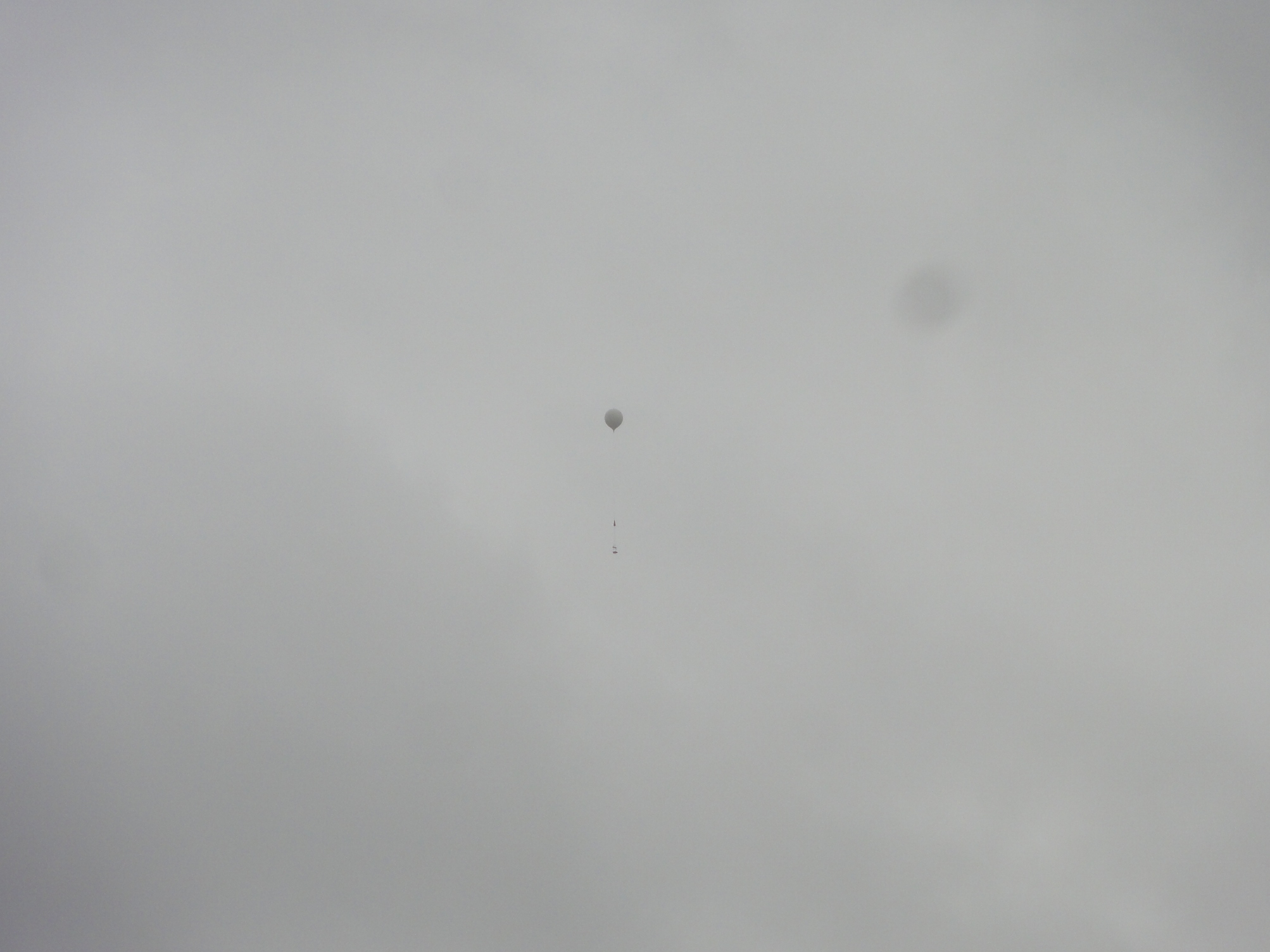 Gavilan-1 2016_1039.JPG