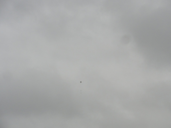 Gavilan-1 2016_1038.JPG