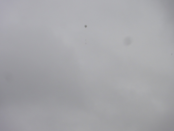 Gavilan-1 2016_1040.JPG