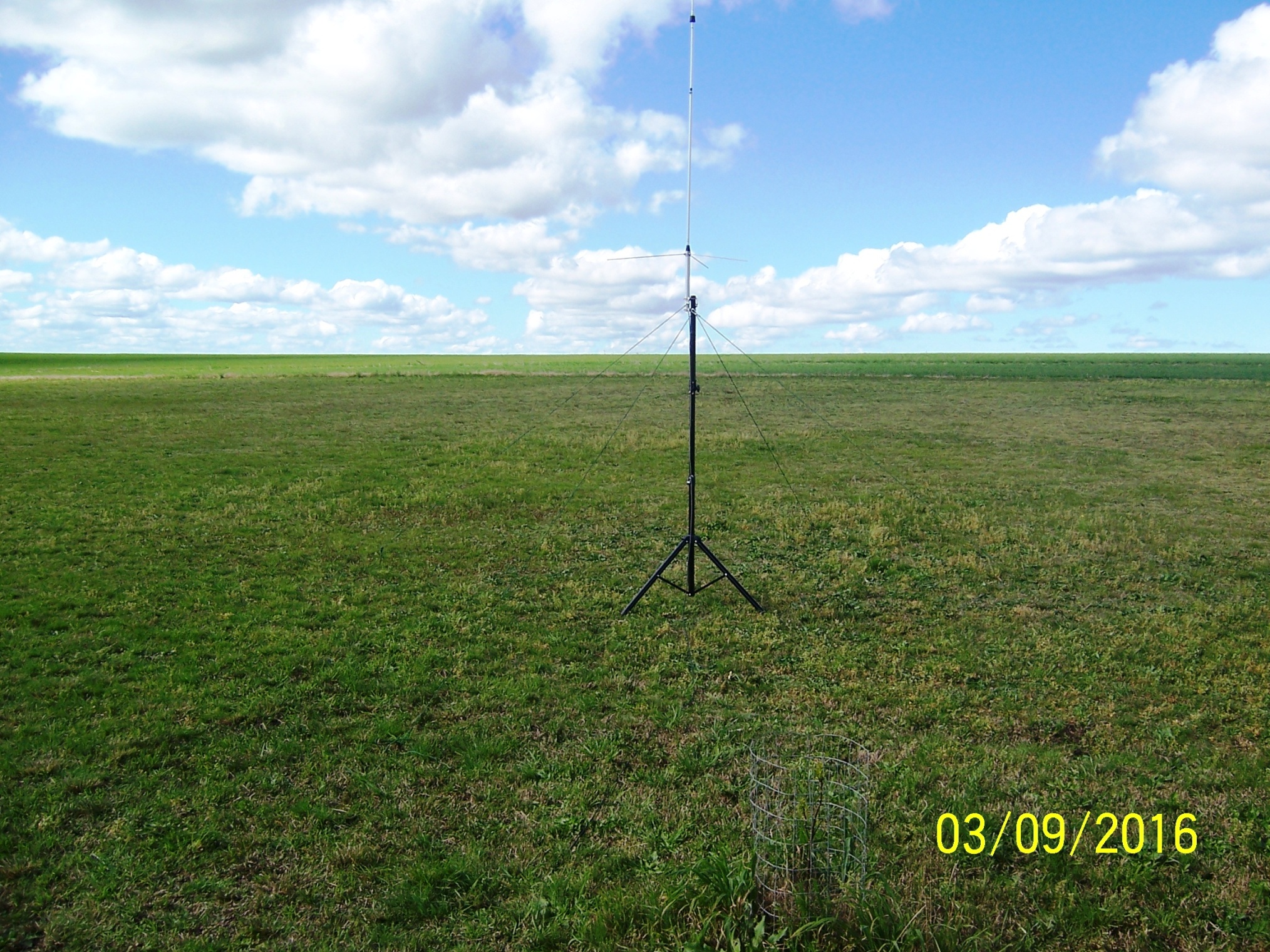 Pichon-1 2016_4518.JPG