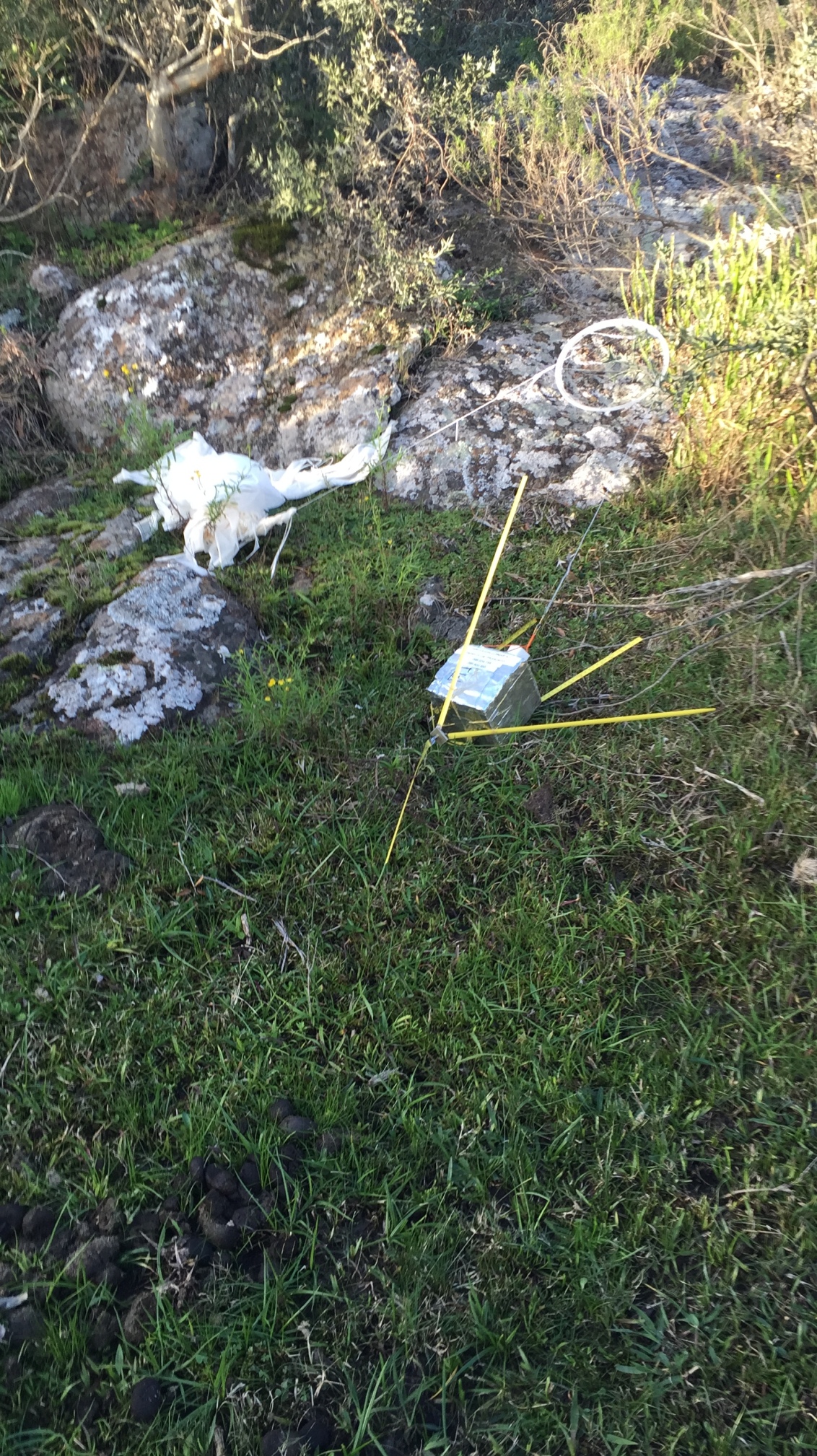 Pichon-1 2016_4522.JPG