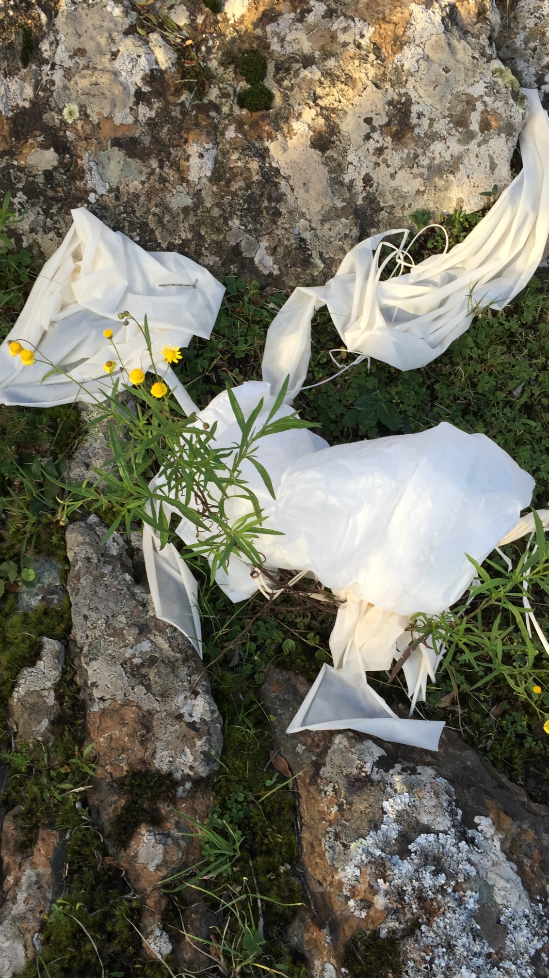 Pichon-1 2016_4524.JPG