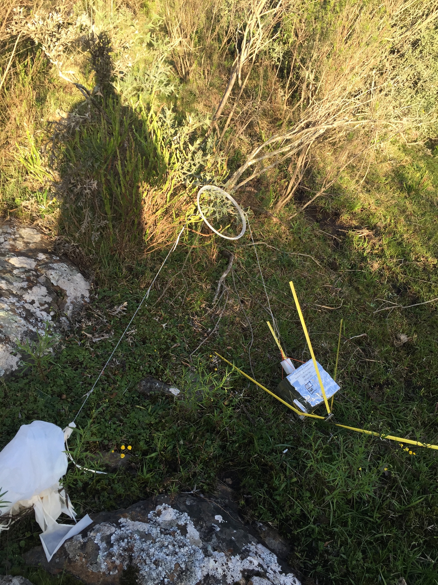 Pichon-1 2016_4527.JPG