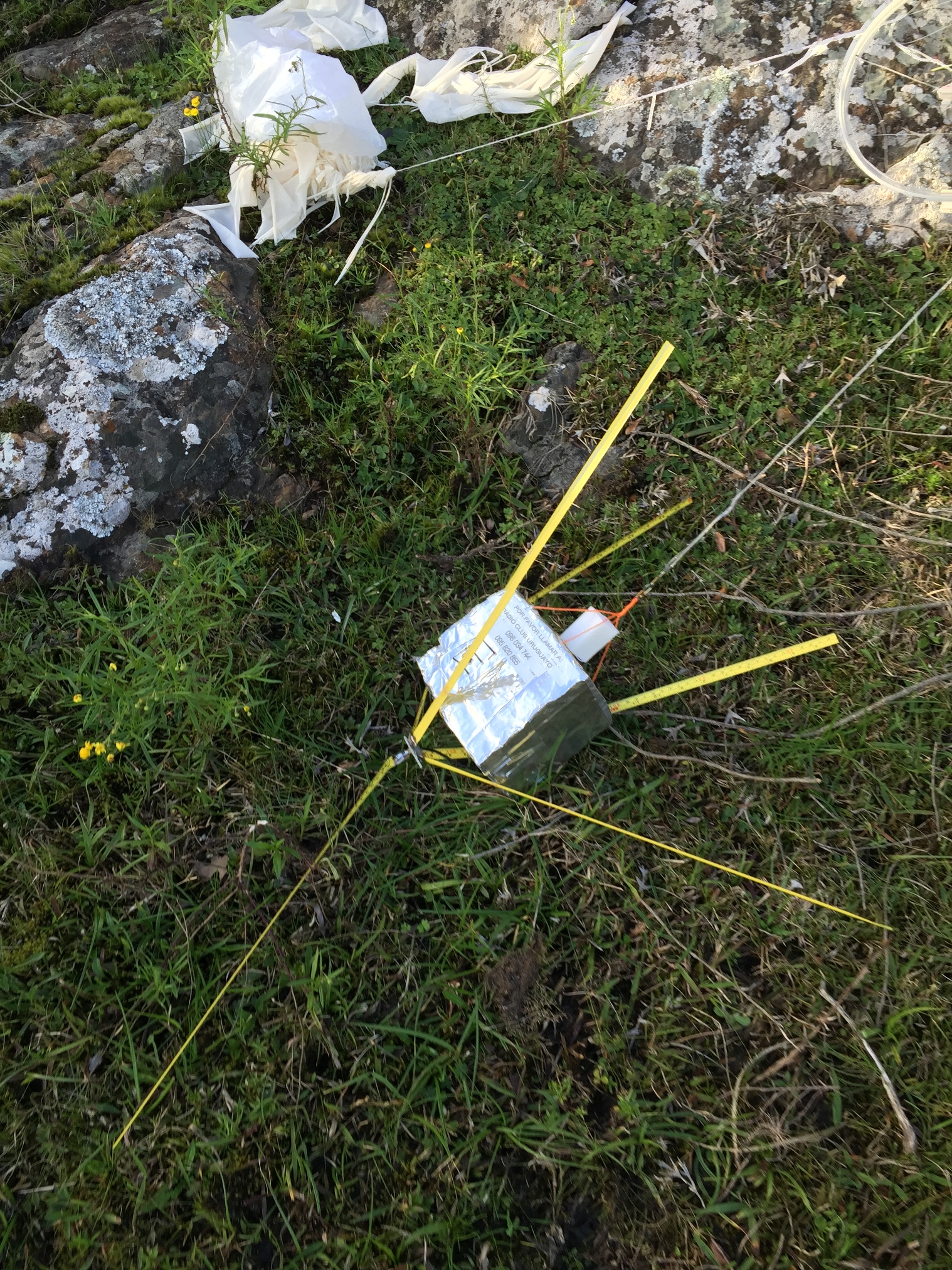 Pichon-1 2016_4528.JPG