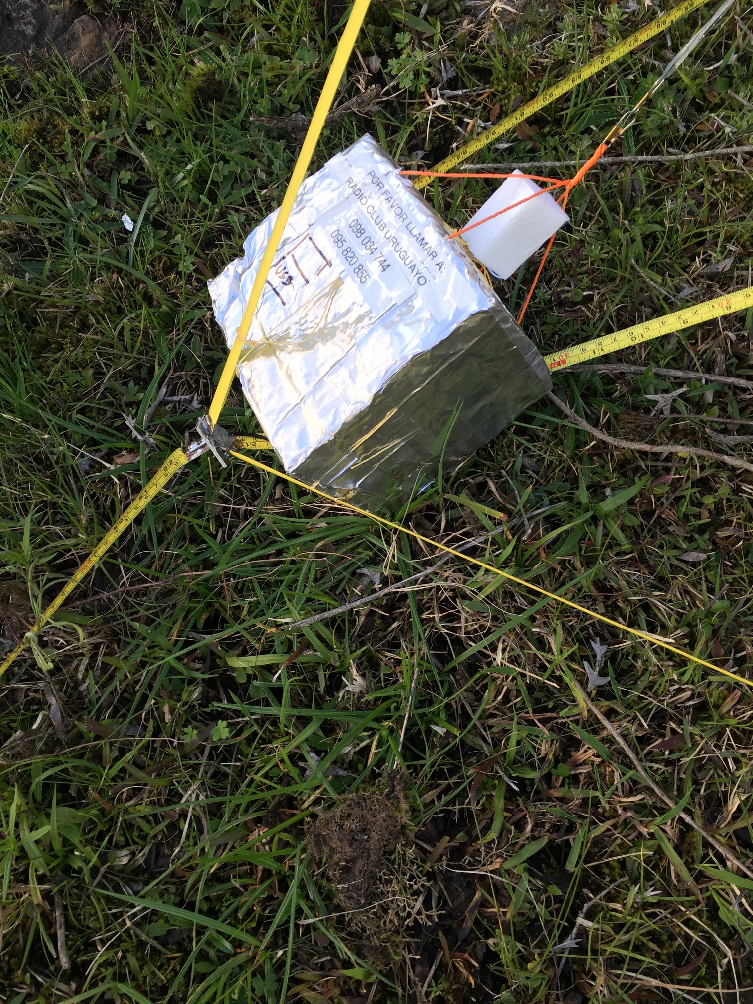 Pichon-1 2016_4529.JPG