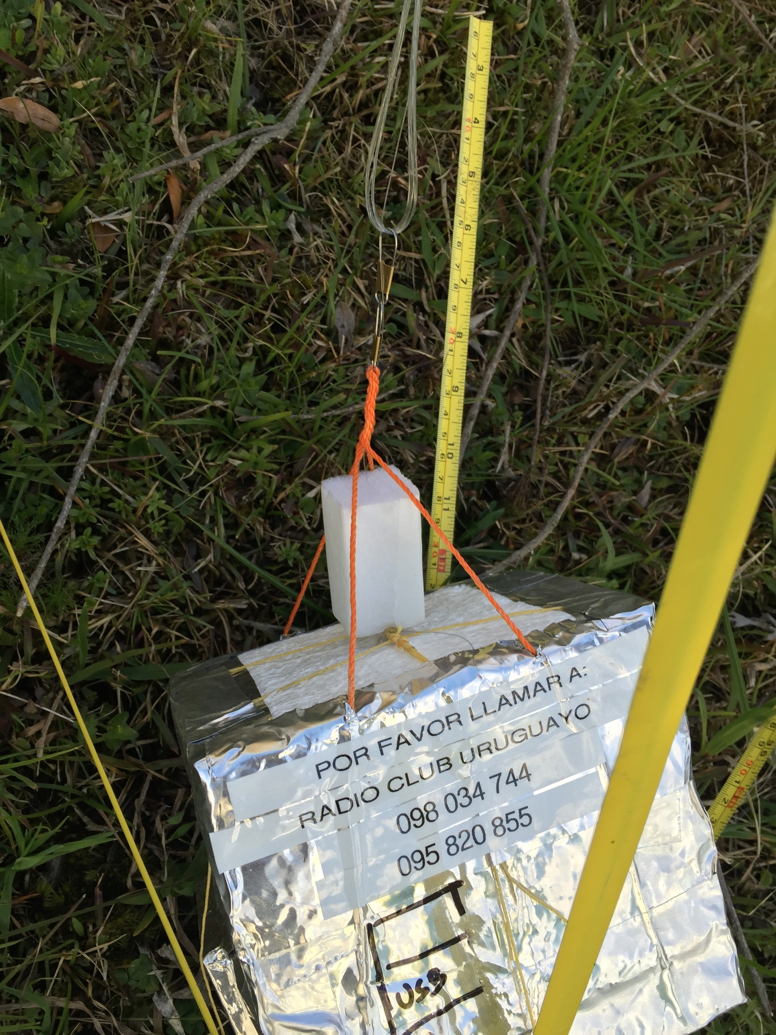 Pichon-1 2016_4534.JPG