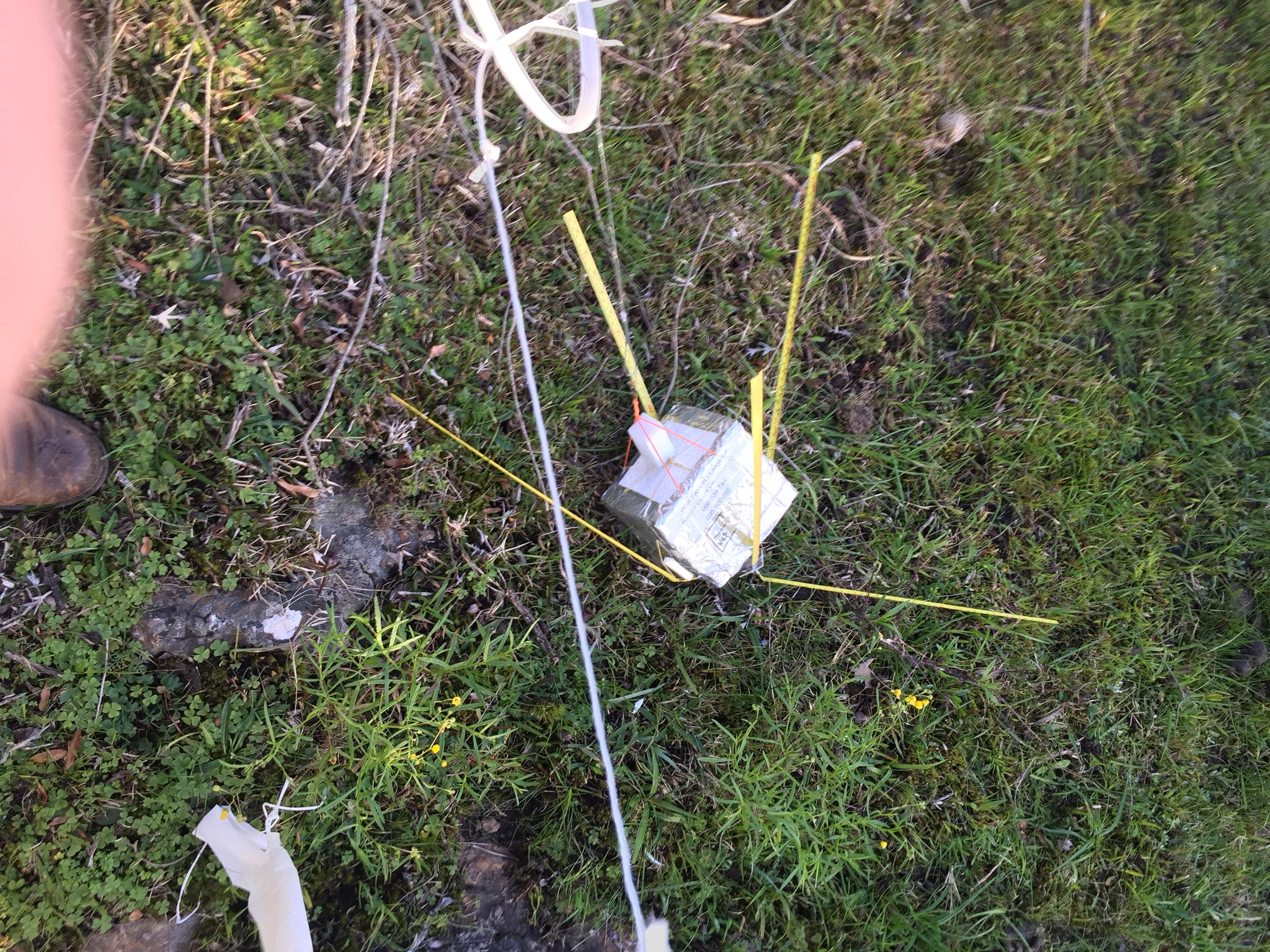 Pichon-1 2016_4538.JPG