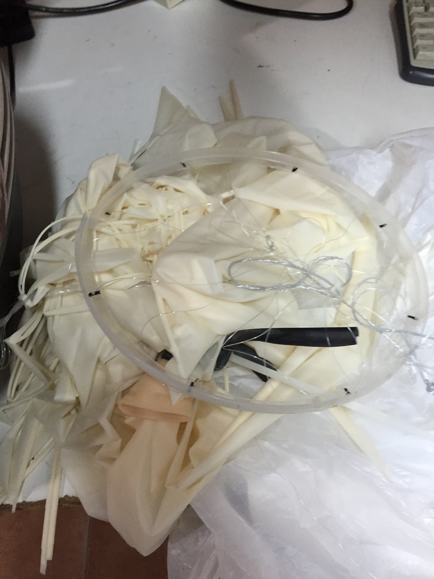 Pichon-1 2016_4543.JPG