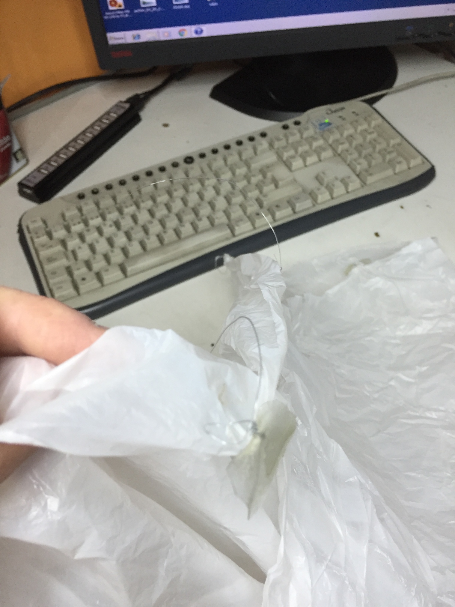 Pichon-1 2016_4548.JPG