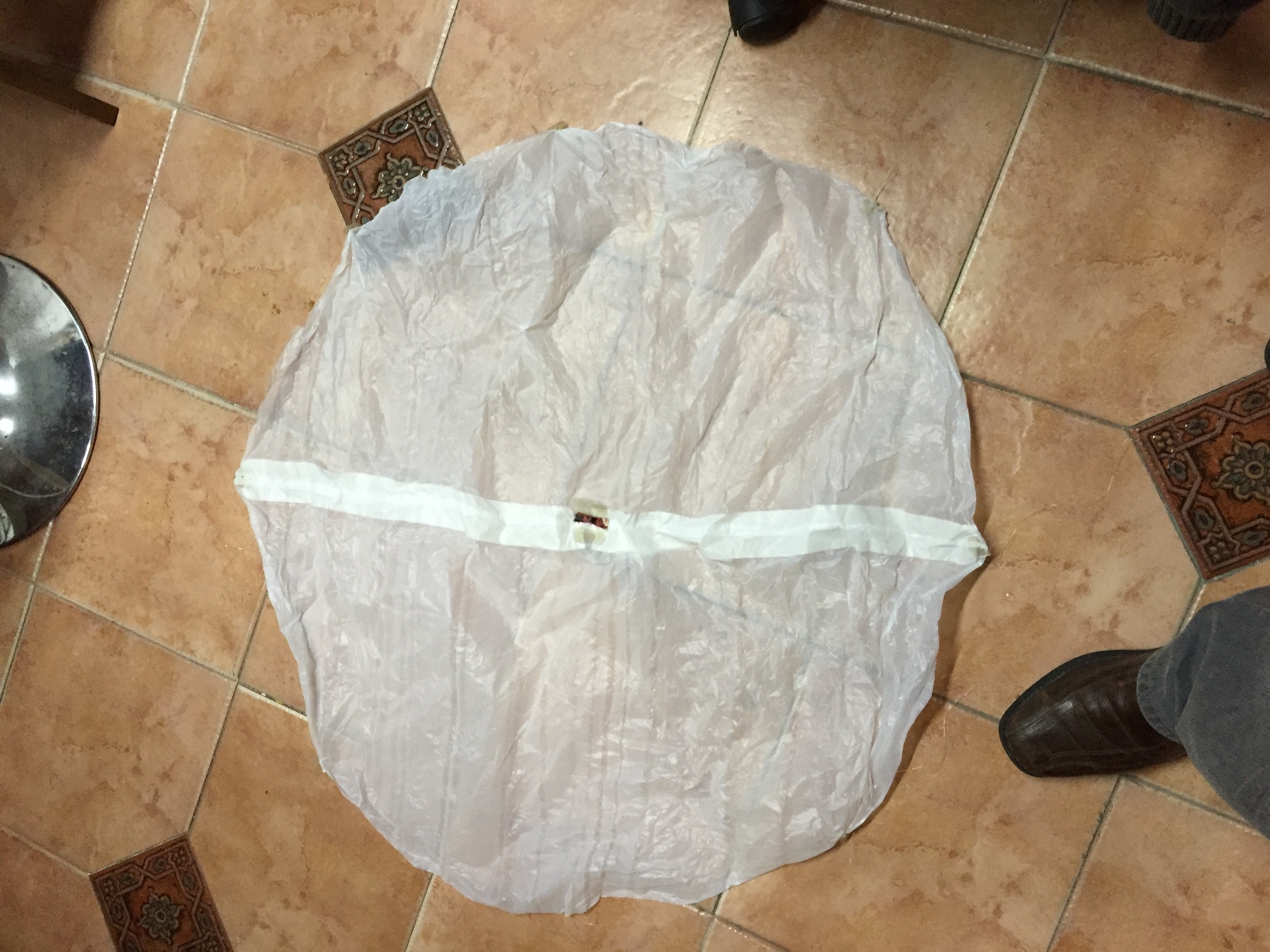 Pichon-1 2016_4549.JPG