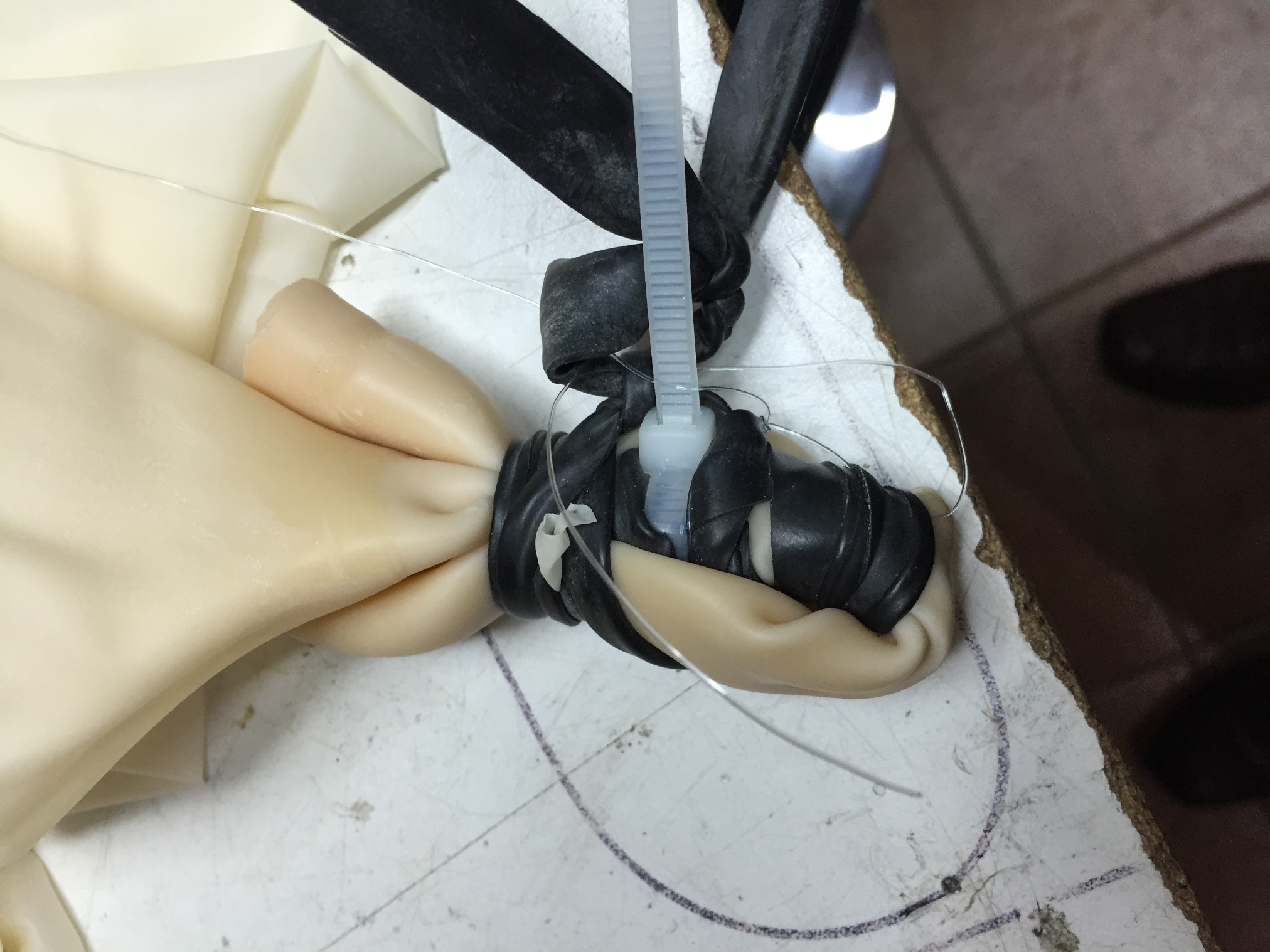 Pichon-1 2016_4550.JPG