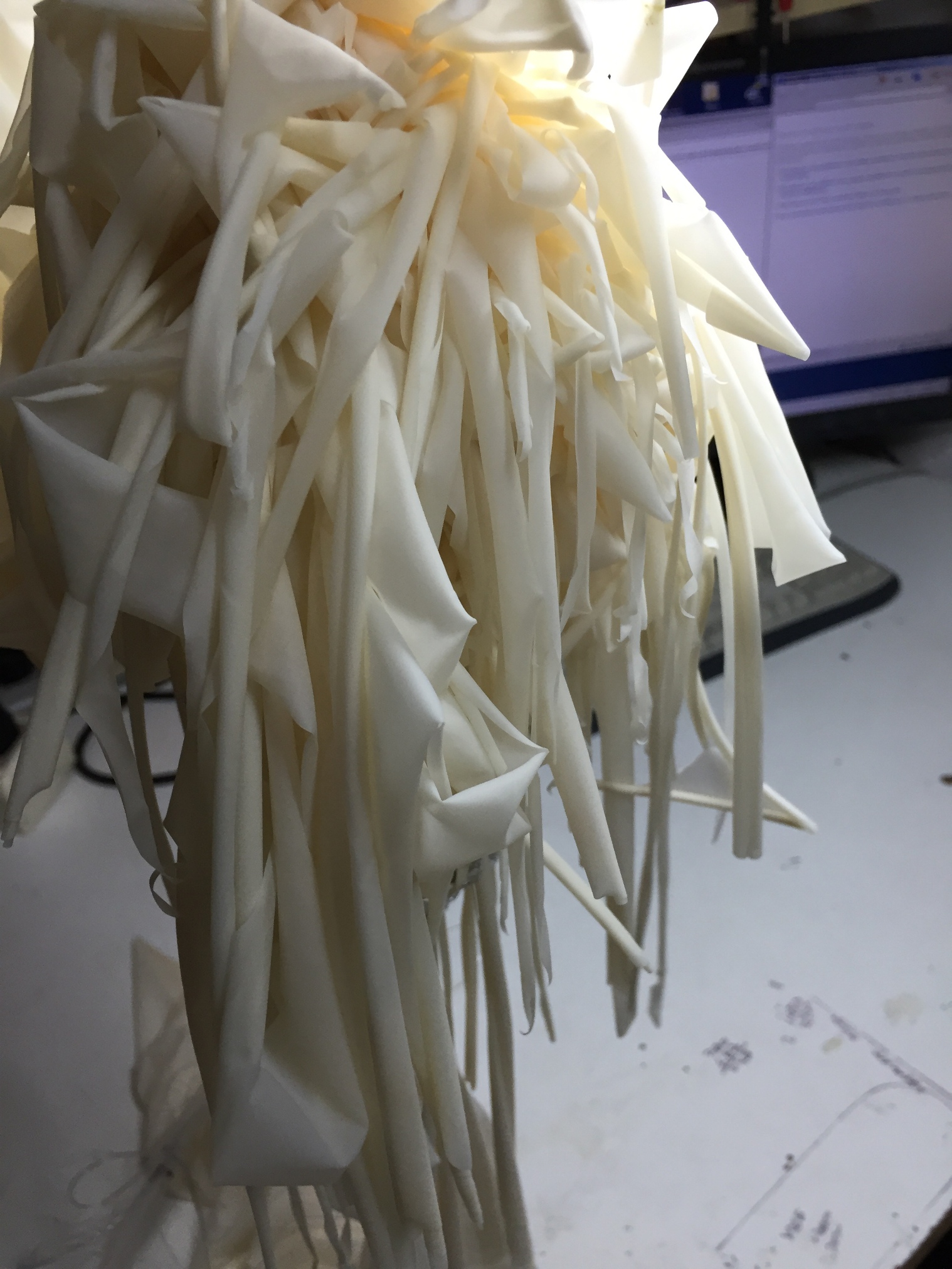 Pichon-1 2016_4553.JPG