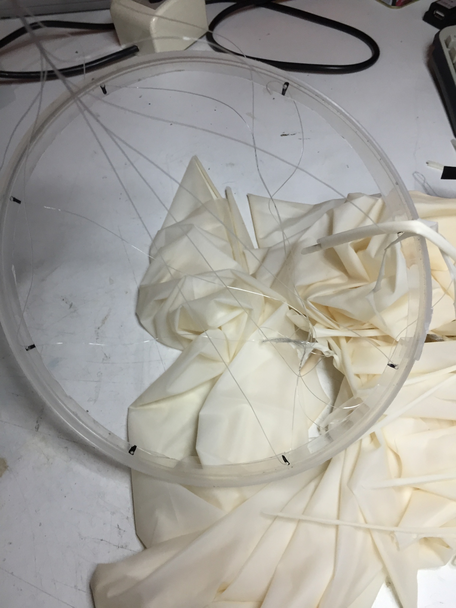 Pichon-1 2016_4554.JPG