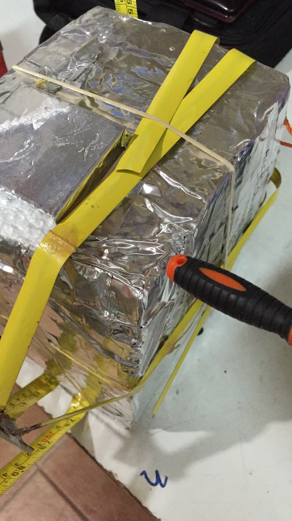 Pichon-1 2016_4555.JPG