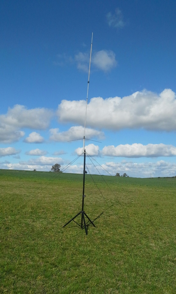 Pichon-1 2016_4519.JPG