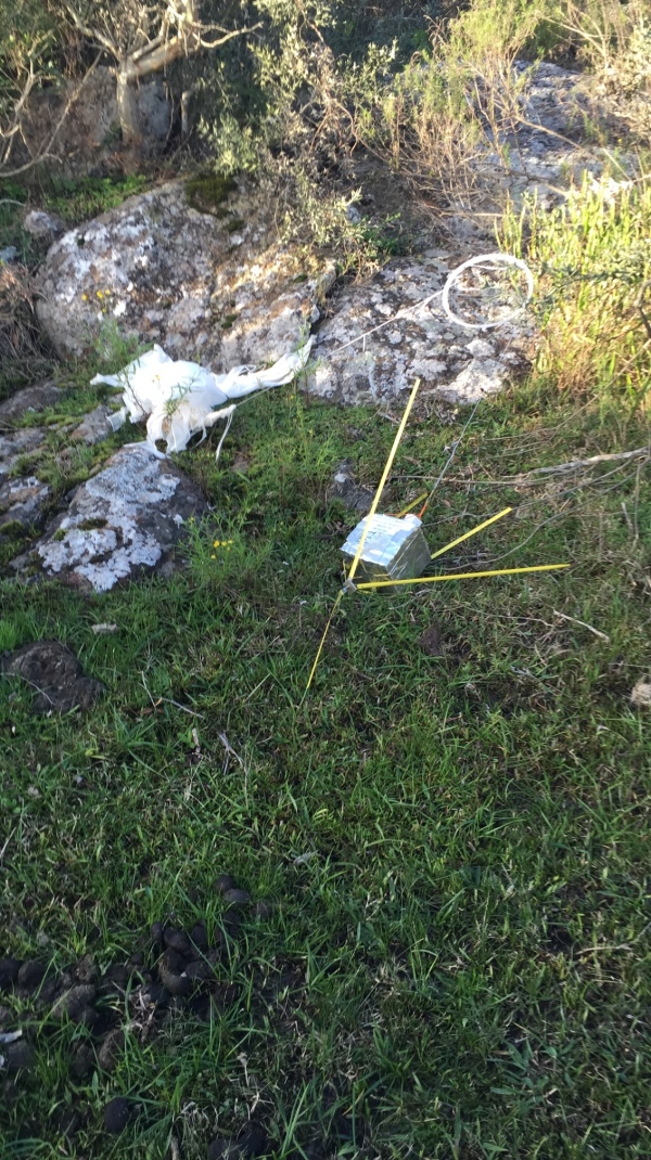 Pichon-1 2016_4522.JPG