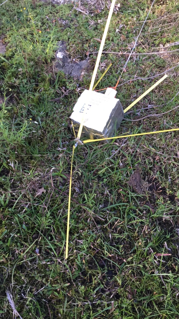 Pichon-1 2016_4523.JPG