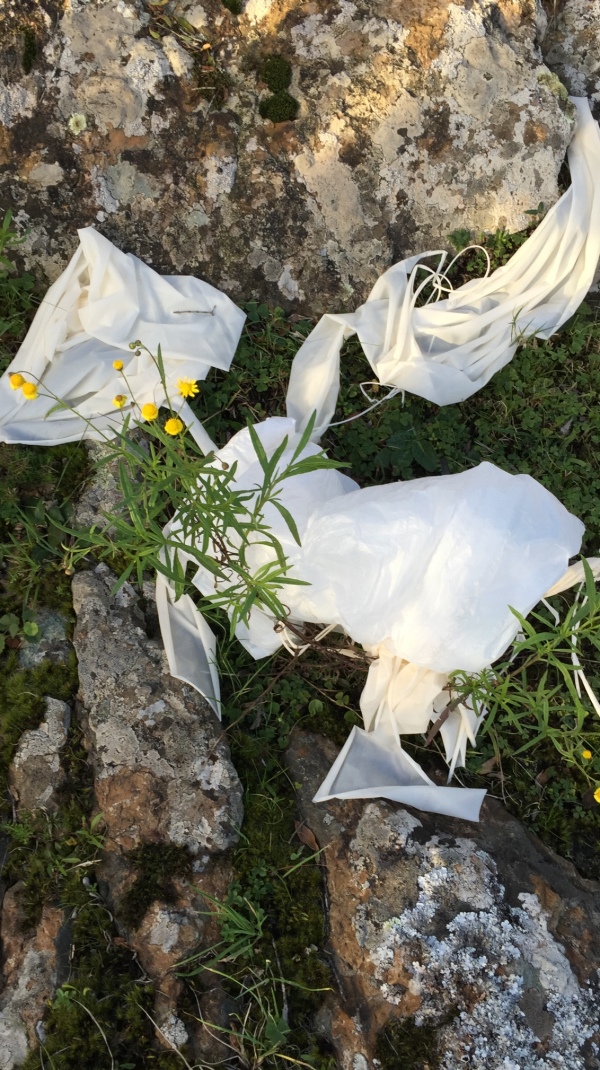 Pichon-1 2016_4524.JPG