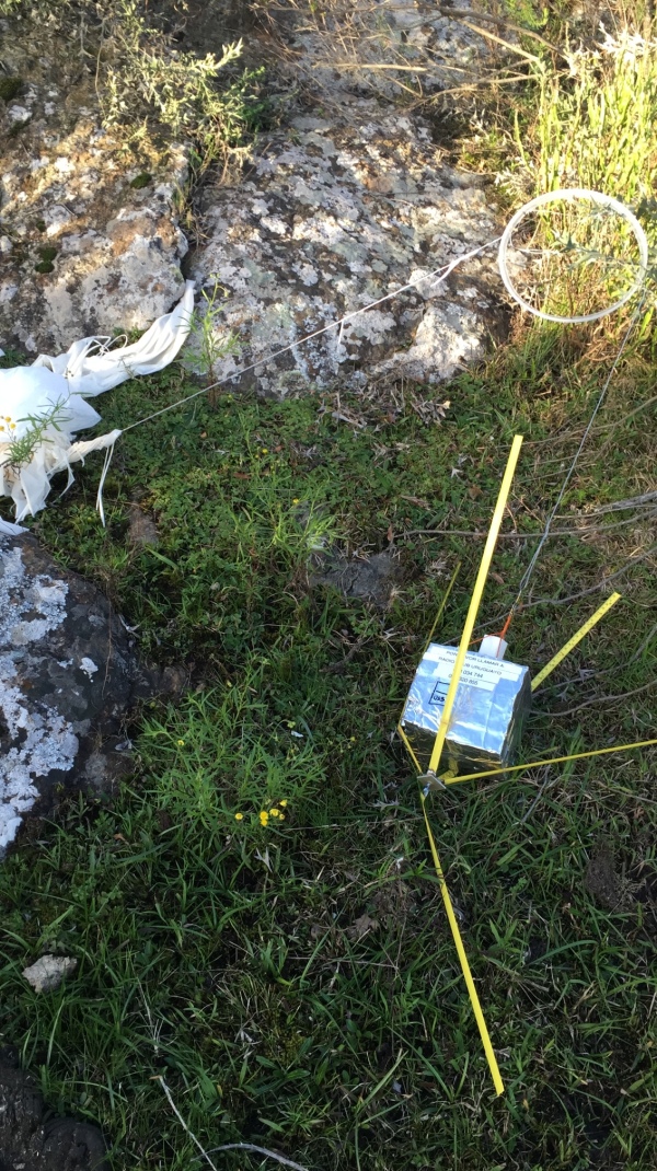 Pichon-1 2016_4525.JPG