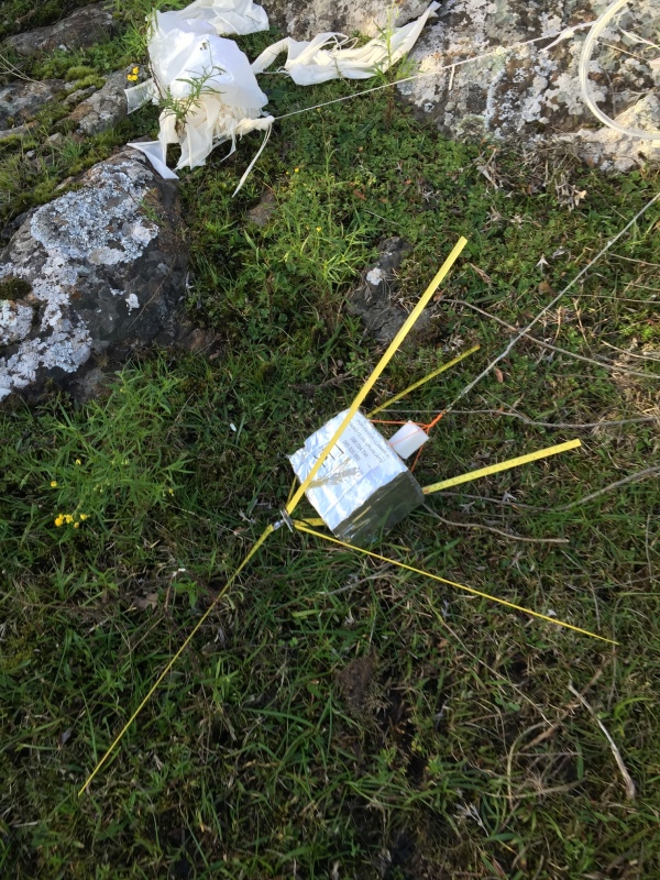 Pichon-1 2016_4528.JPG