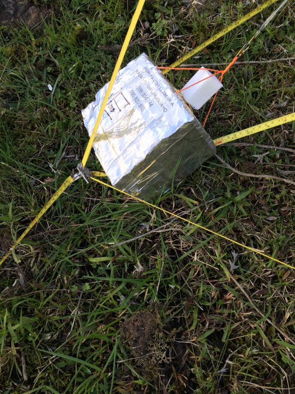 Pichon-1 2016_4529.JPG