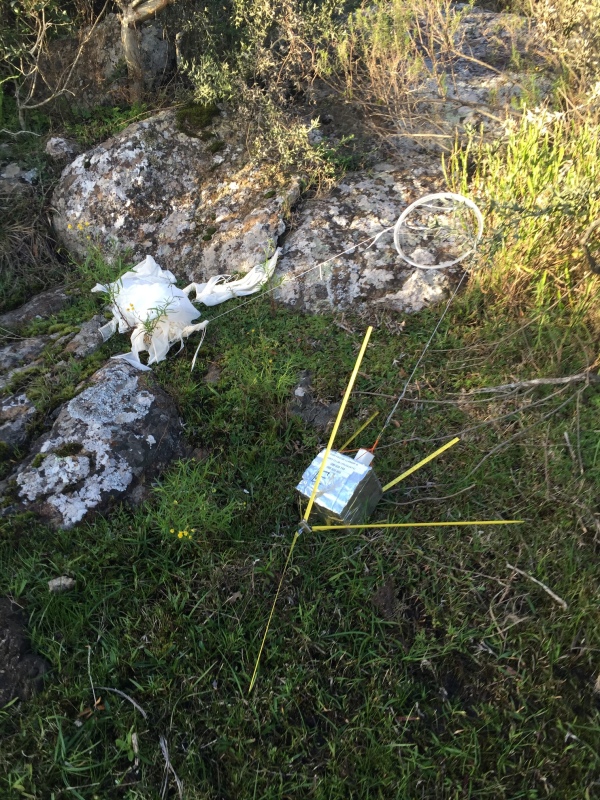 Pichon-1 2016_4530.JPG