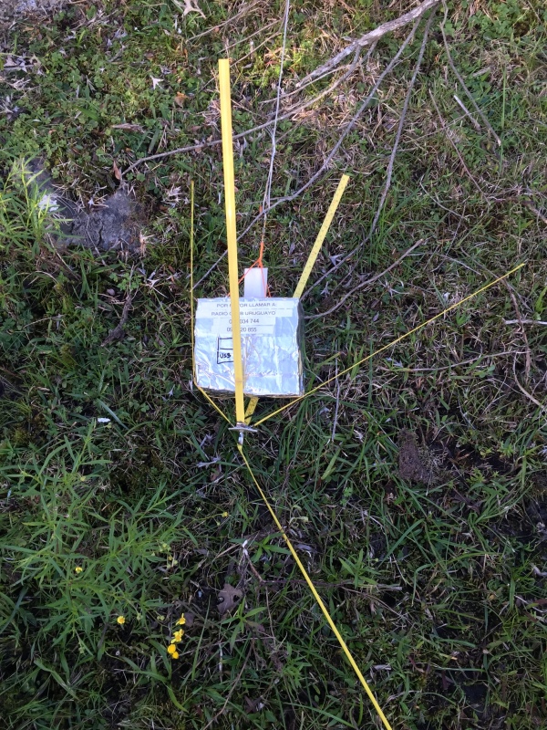 Pichon-1 2016_4533.JPG