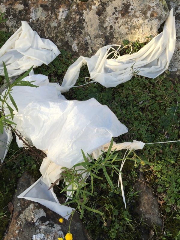 Pichon-1 2016_4536.JPG