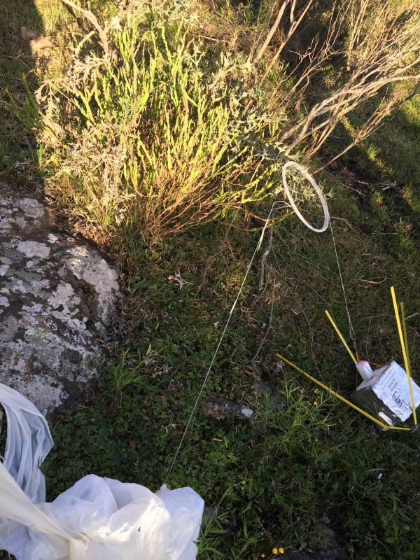 Pichon-1 2016_4537.JPG