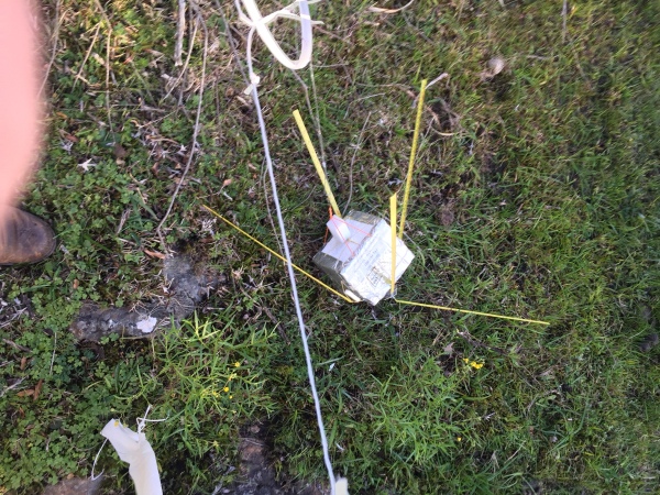 Pichon-1 2016_4538.JPG