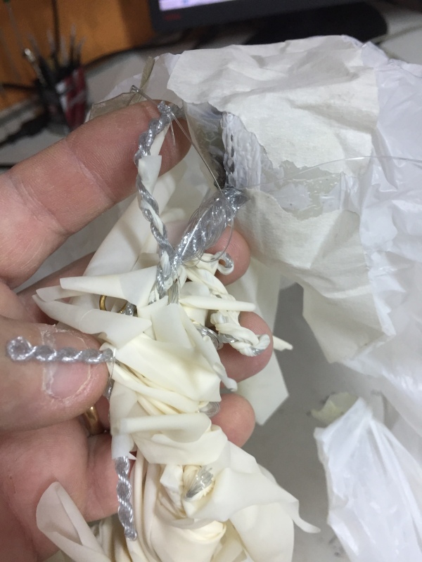 Pichon-1 2016_4542.JPG