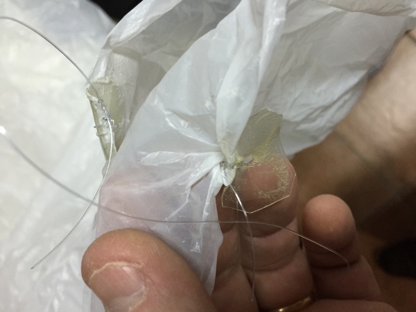 Pichon-1 2016_4546.JPG