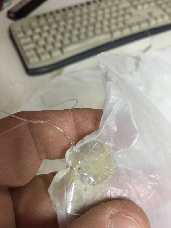 Pichon-1 2016_4547.JPG