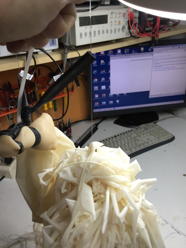 Pichon-1 2016_4552.JPG