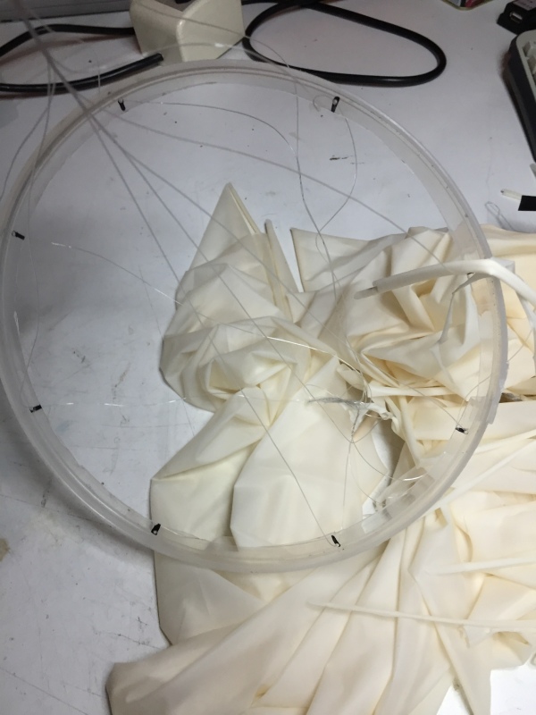 Pichon-1 2016_4554.JPG