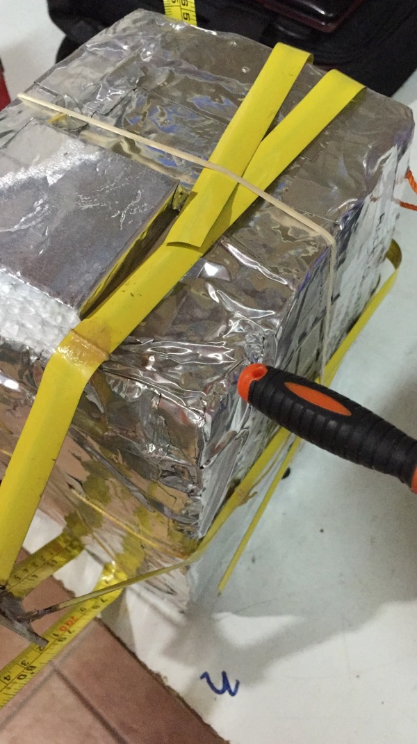 Pichon-1 2016_4555.JPG