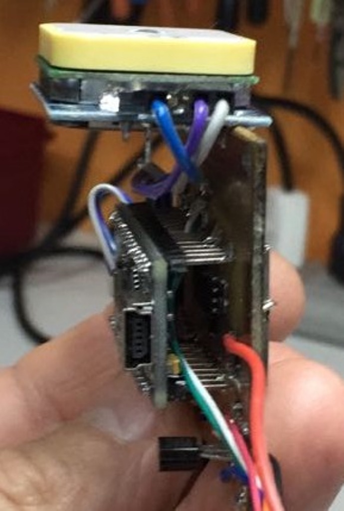 Pichon-2 2016_2002.JPG