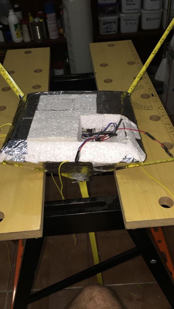 Pichon-2 2016_2007.JPG