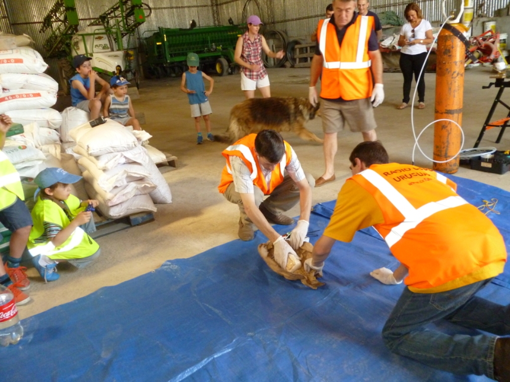 Pichon-2 2016_2033.JPG