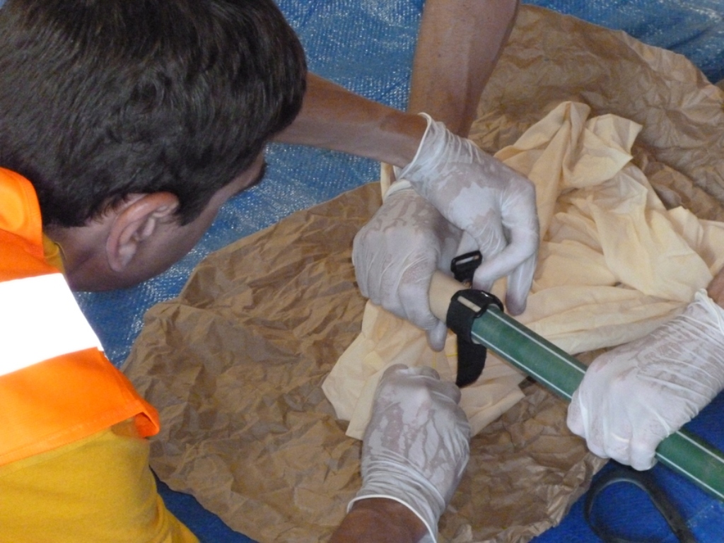 Pichon-2 2016_2038.JPG