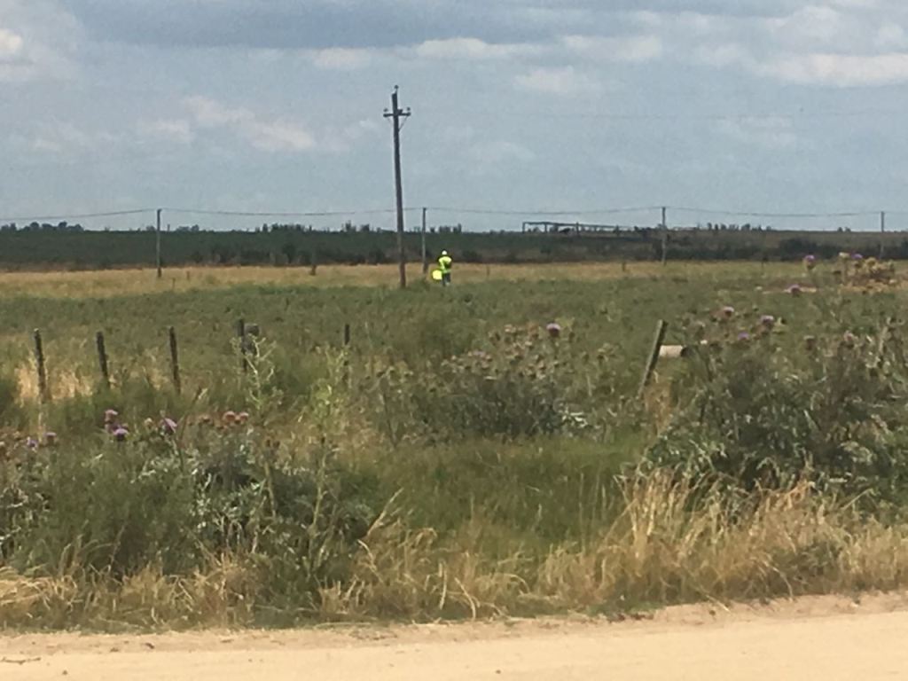 Pichon-2 2016_2078.JPG