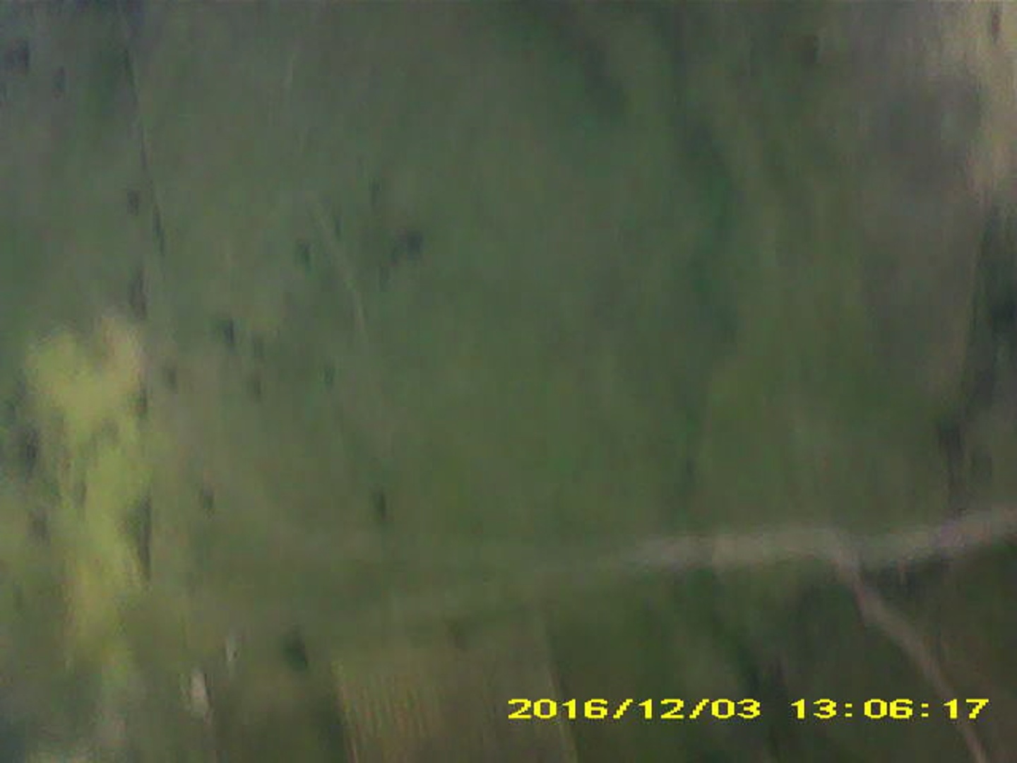 Pichon-2 2016_130617.JPG