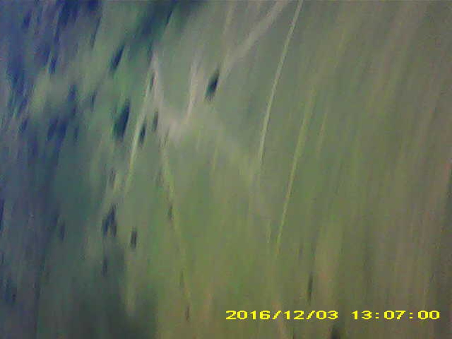 Pichon-2 2016_130700.JPG