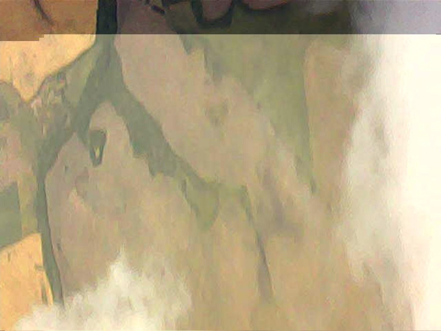 Pichon-2 2016_131024_2.JPG