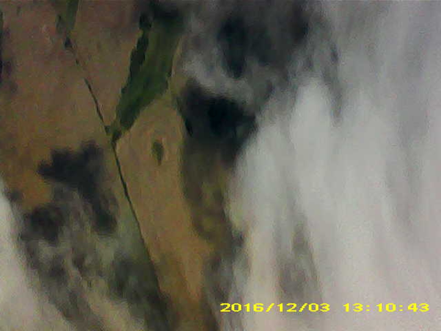 Pichon-2 2016_131043.JPG