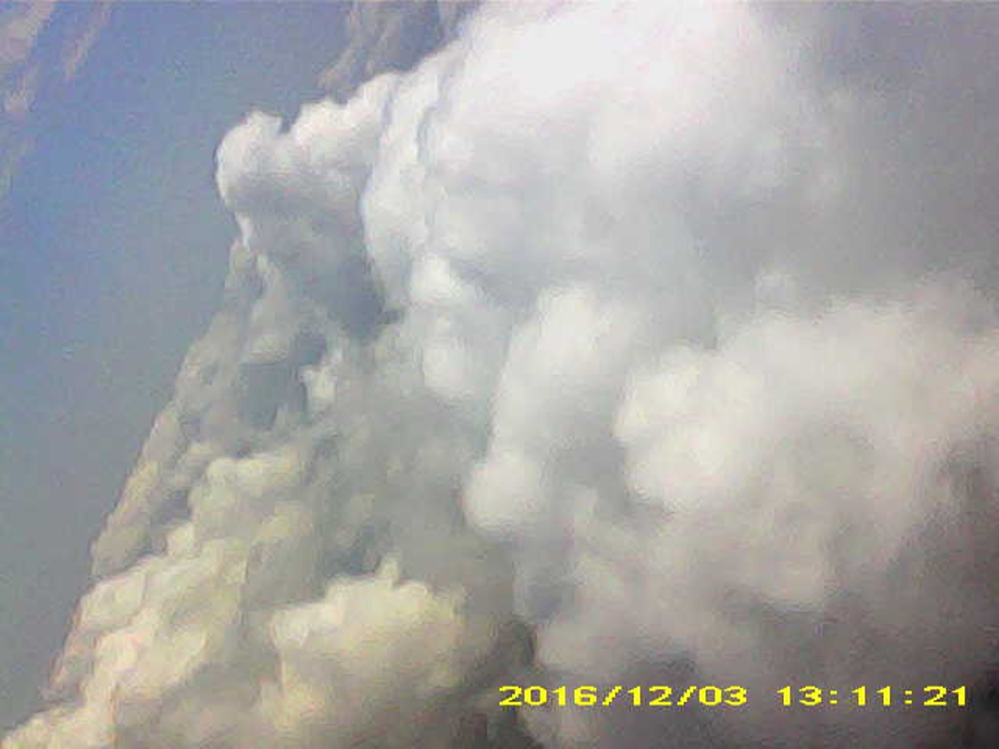 Pichon-2 2016_131121.JPG